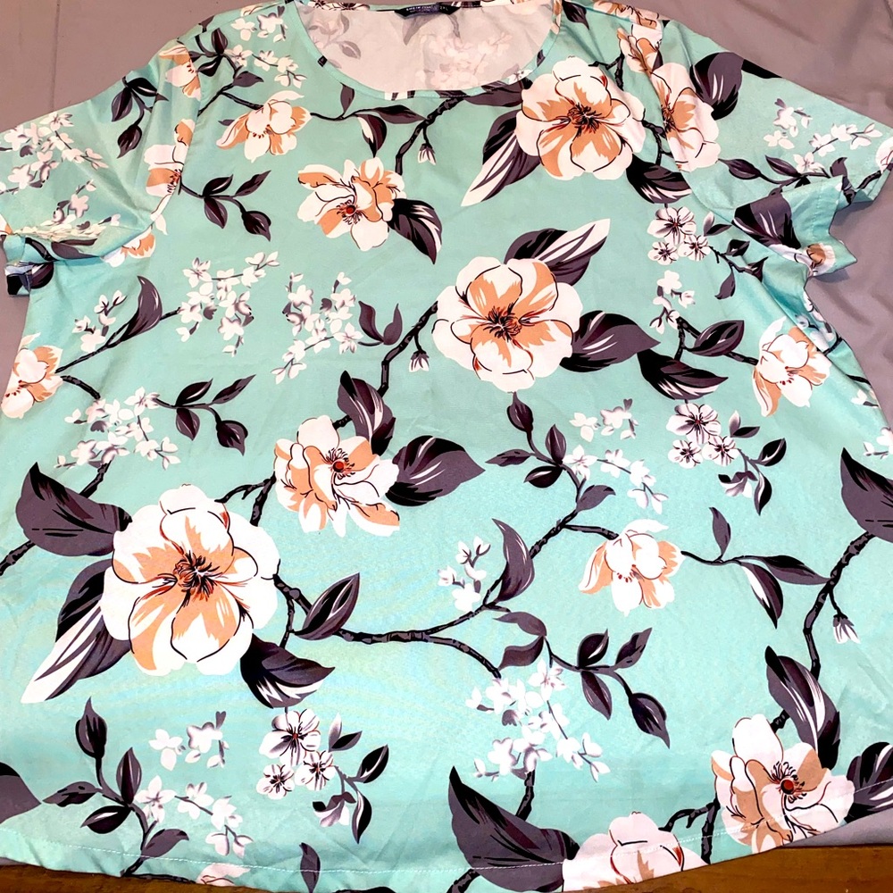 Shein Curve Blouse (2X)